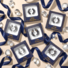 VLUXE BY IENVY MASTERPIECE COLLECTION MINK EYELASHES #06 GLAM EVERYDAY [VMP06] - Image 8